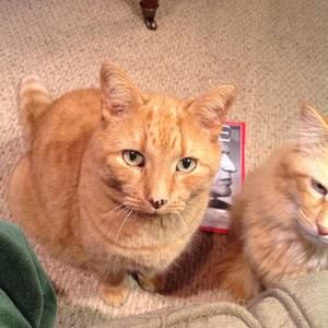 Meet your Posher, Regina